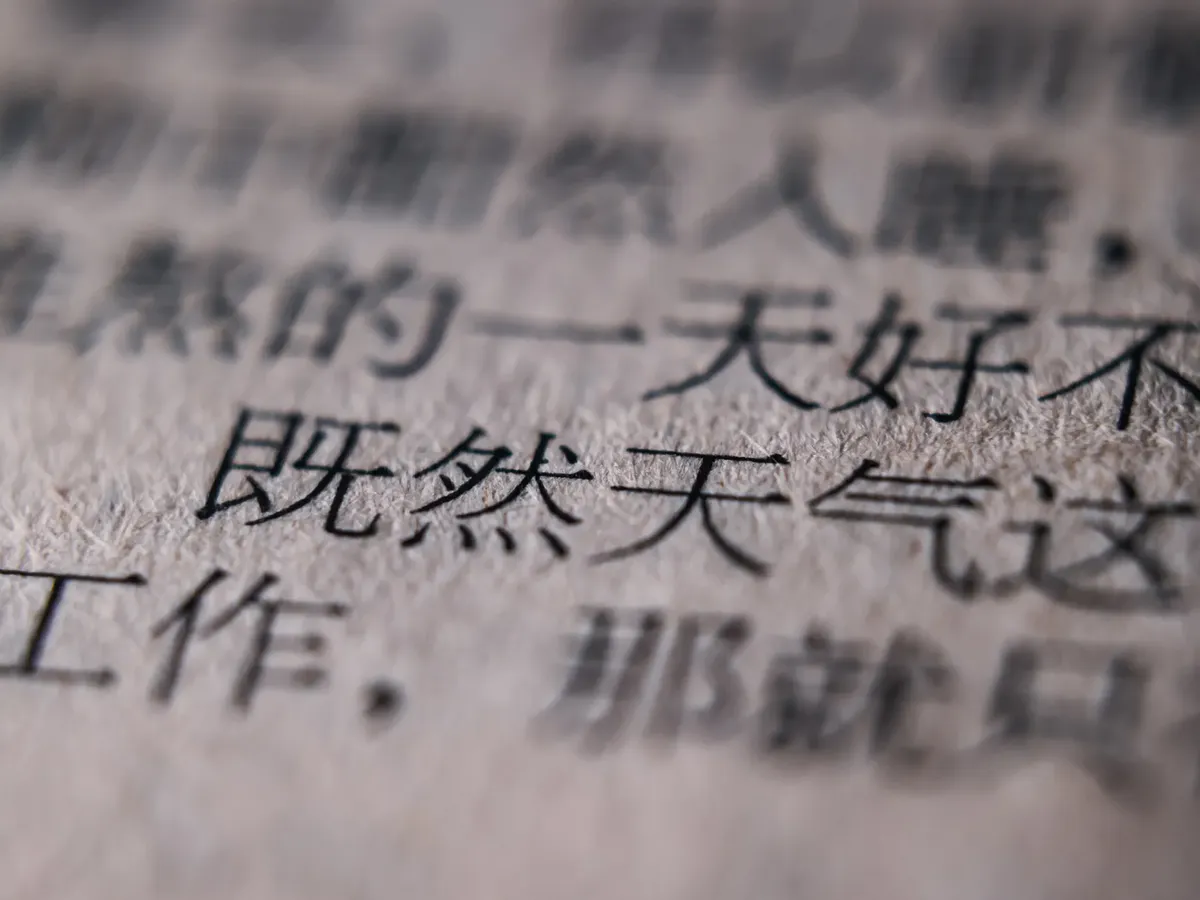 Close-up shot of Chinese text, emphasizing texture and detail with blurred background.
